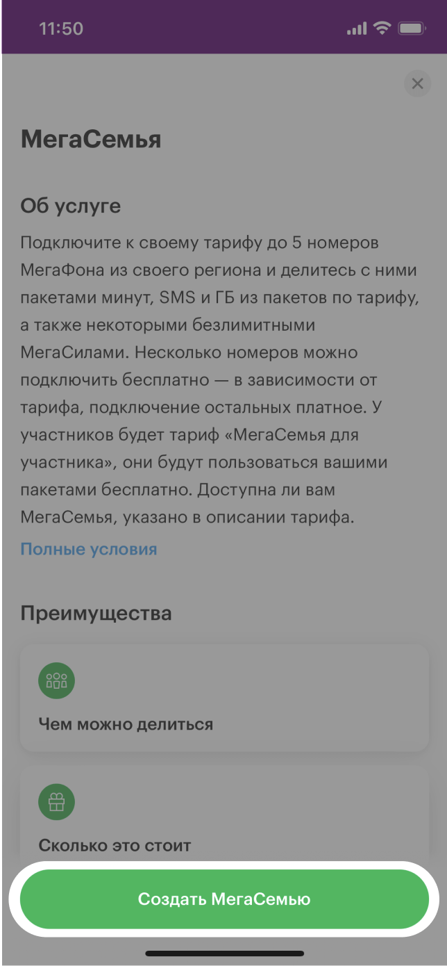 МегаСемья услуга от МегаФона: описание, условия подключения Приморский край